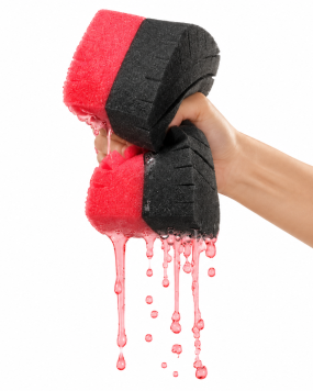 Legacy Sponge